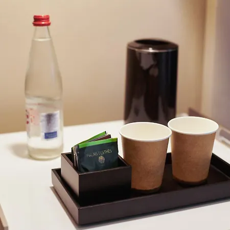 Mercure Centre Grand 4* נאנט
