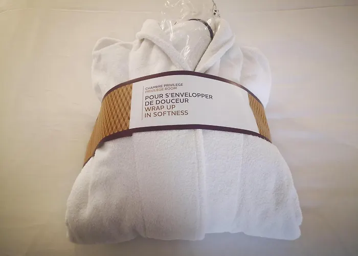 Mercure Centre Grand Nantes